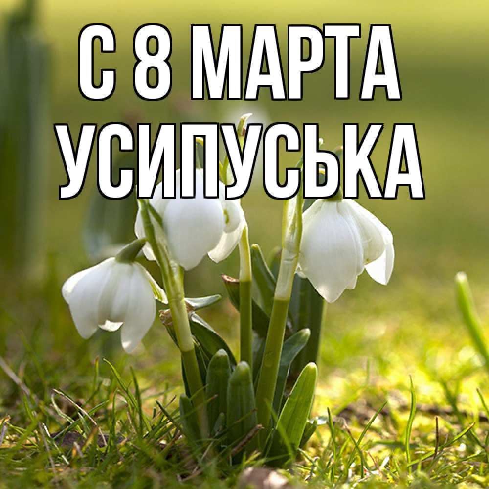 Открытка на каждый день с именем, усипуська C 8 МАРТА ранние цветы 2 Прикольная открытка с пожеланием онлайн скачать бесплатно 