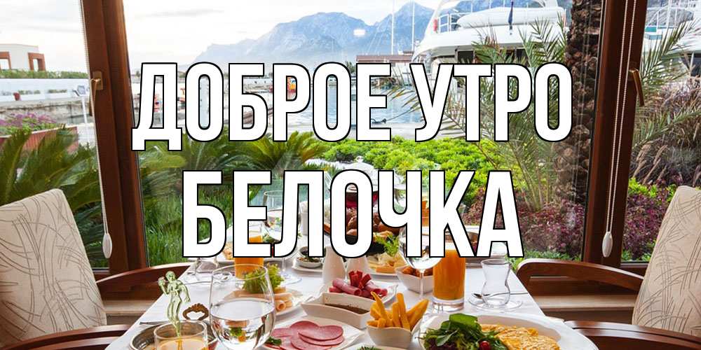 Открытка на каждый день с именем, Белочка Доброе утро тропическое утро Прикольная открытка с пожеланием онлайн скачать бесплатно 