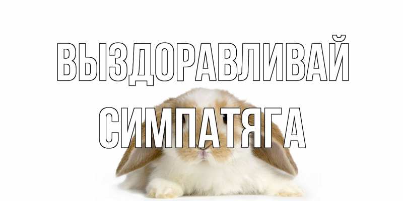 Картинка Выздоравливай, Симпатяга
