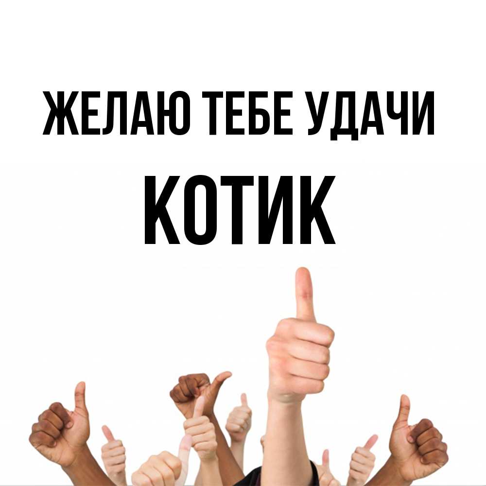 Открытка на каждый день с именем, Котик Желаю тебе удачи молодцом Прикольная открытка с пожеланием онлайн скачать бесплатно 
