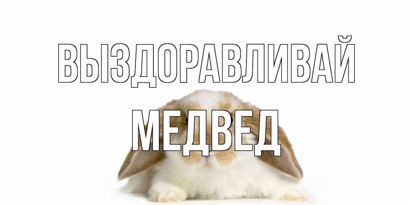 Картинка Выздоравливай, Медвед
