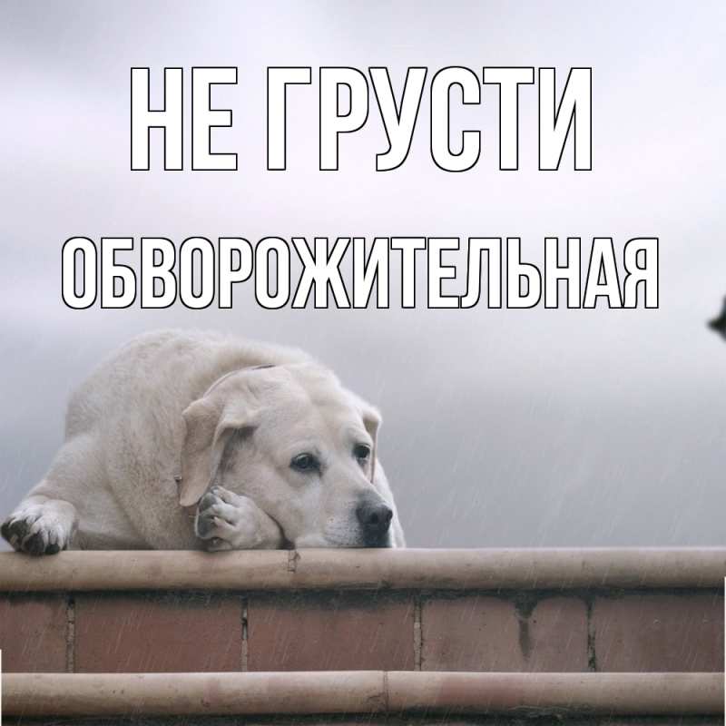 Картинка Не грусти, Обвоpожительная