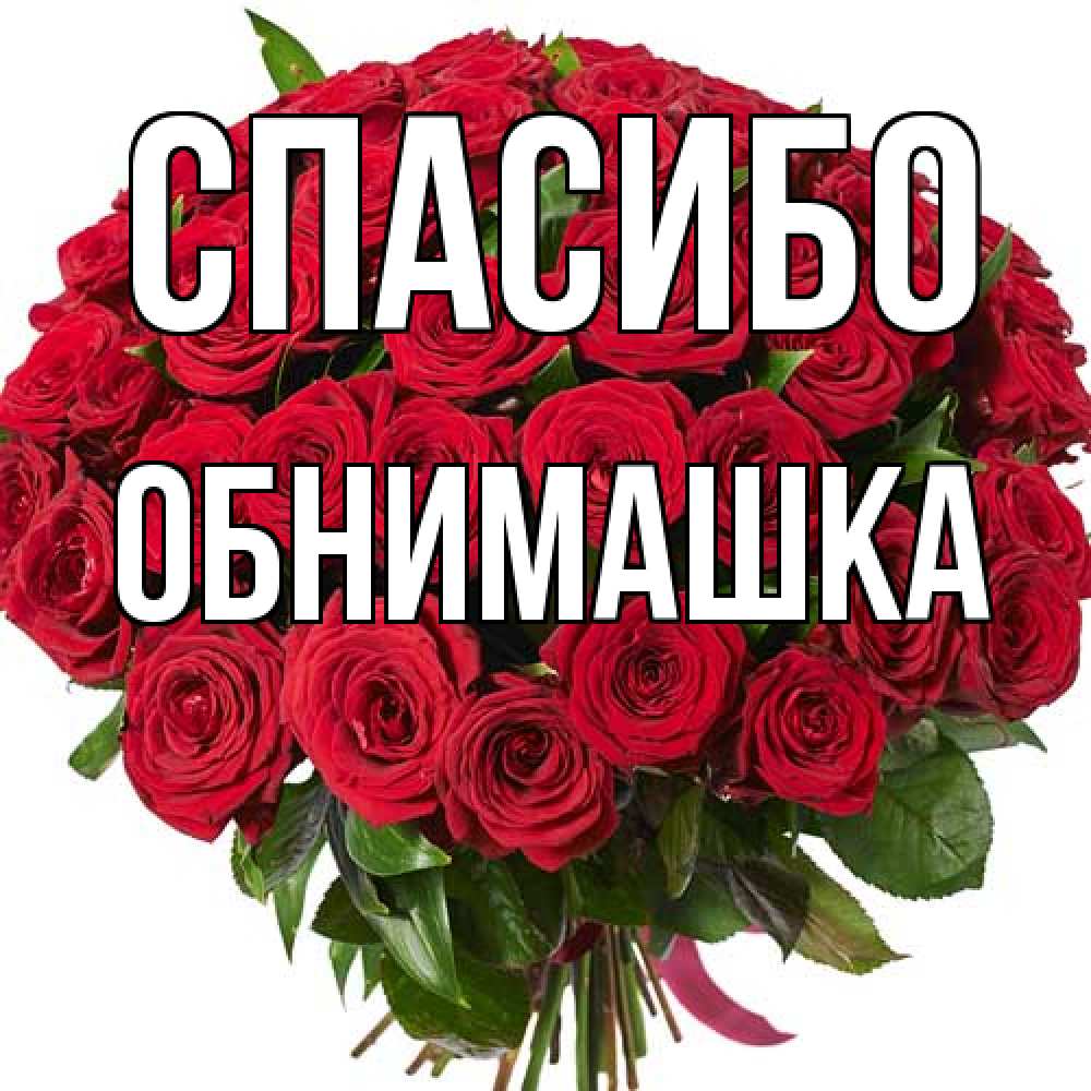 Открытка на каждый день с именем, обнимашка Спасибо букет красных роз Прикольная открытка с пожеланием онлайн скачать бесплатно 