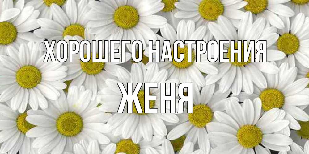 Открытка на каждый день с именем, Женя Хорошего настроения поляна ромашек Прикольная открытка с пожеланием онлайн скачать бесплатно 