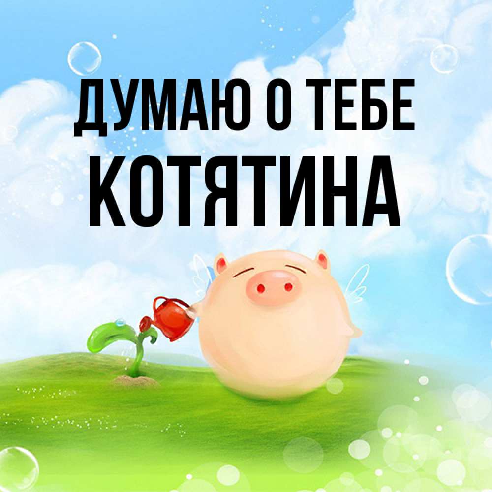 Открытка на каждый день с именем, Котятина Думаю о тебе позитивная свинюшка Прикольная открытка с пожеланием онлайн скачать бесплатно 