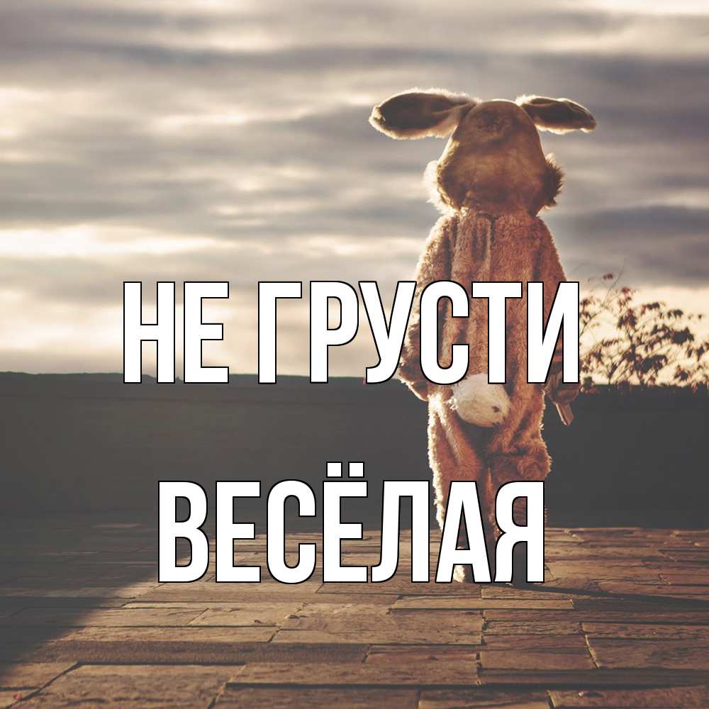Открытка на каждый день с именем, Весёлая Не грусти со спины Прикольная открытка с пожеланием онлайн скачать бесплатно 