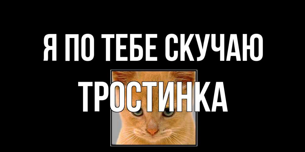 Открытка на каждый день с именем, Тростинка Я по тебе скучаю открытки рыжий котенок скучает по тебе Прикольная открытка с пожеланием онлайн скачать бесплатно 