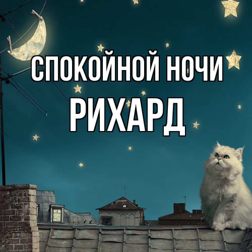 Открытка на каждый день с именем, Рихард Спокойной ночи белый кот сидит на крыше Прикольная открытка с пожеланием онлайн скачать бесплатно 