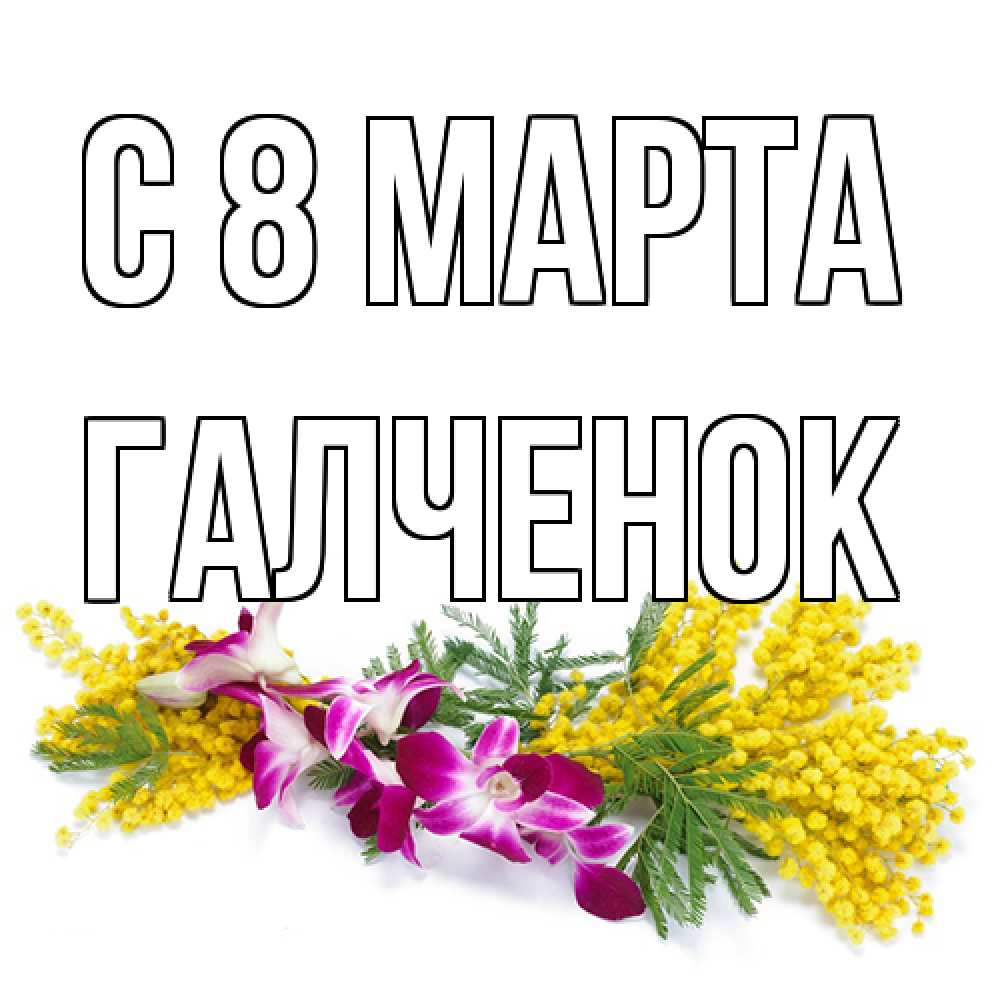 Открытка на каждый день с именем, Галченок C 8 МАРТА открытка на международный женский день с цветами  1 Прикольная открытка с пожеланием онлайн скачать бесплатно 