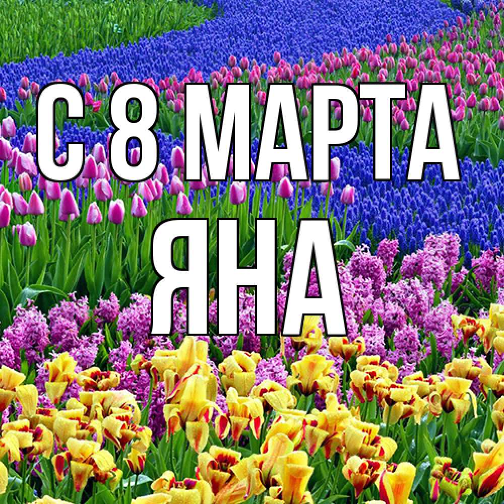 Открытка на каждый день с именем, Яна C 8 МАРТА цветы Прикольная открытка с пожеланием онлайн скачать бесплатно 