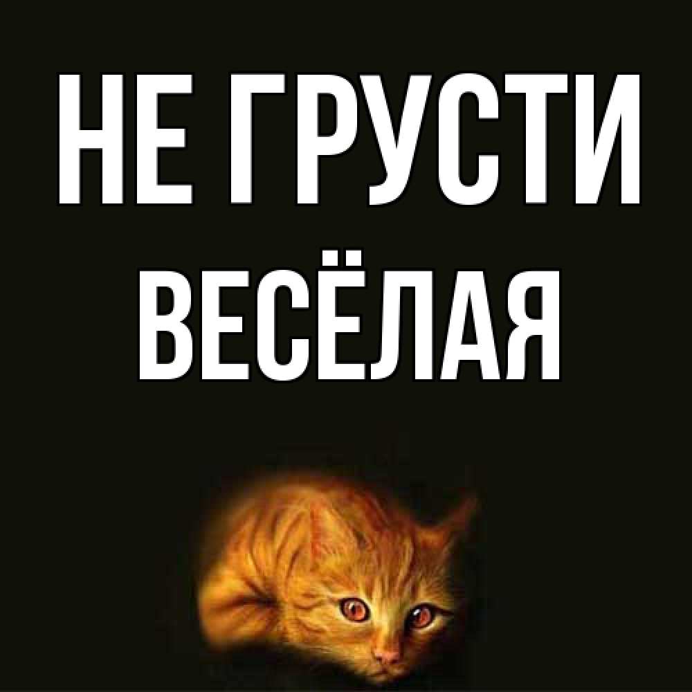 Открытка на каждый день с именем, Весёлая Не грусти лежащий кот в темноте Прикольная открытка с пожеланием онлайн скачать бесплатно 
