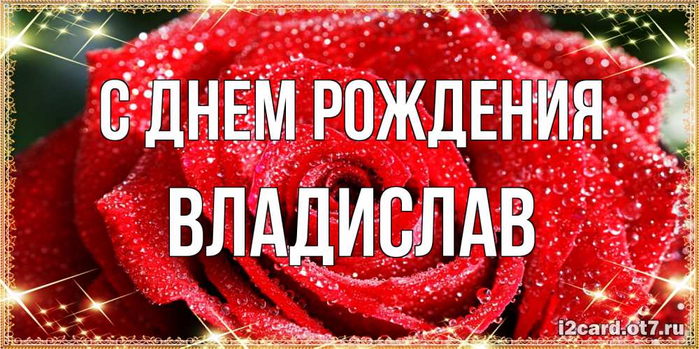 Открытка на каждый день с именем, Владислав С днем рождения роса и роза. открытка с красивой розой Прикольная открытка с пожеланием онлайн скачать бесплатно 