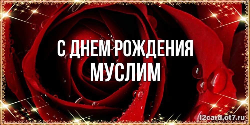 Открытка на каждый день с именем, Муслим С днем рождения цветок в росе на день рождения Прикольная открытка с пожеланием онлайн скачать бесплатно 