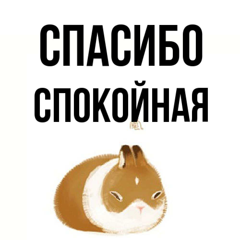 Открытка на каждый день с именем, спокойная Спасибо коричнево белый домашний питомец Прикольная открытка с пожеланием онлайн скачать бесплатно 