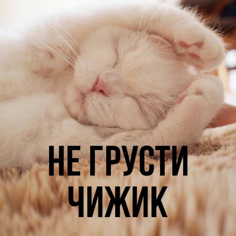 Картинка Не грусти, Чижик