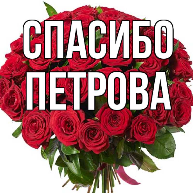 Картинка Спасибо, Петрова