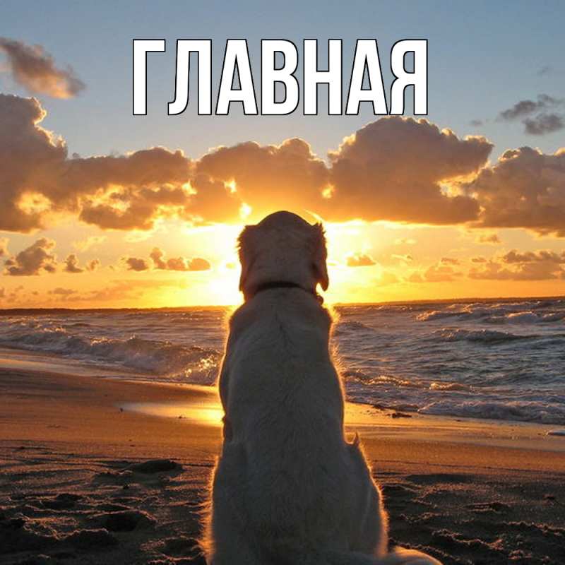 Картинка  с именем , настя