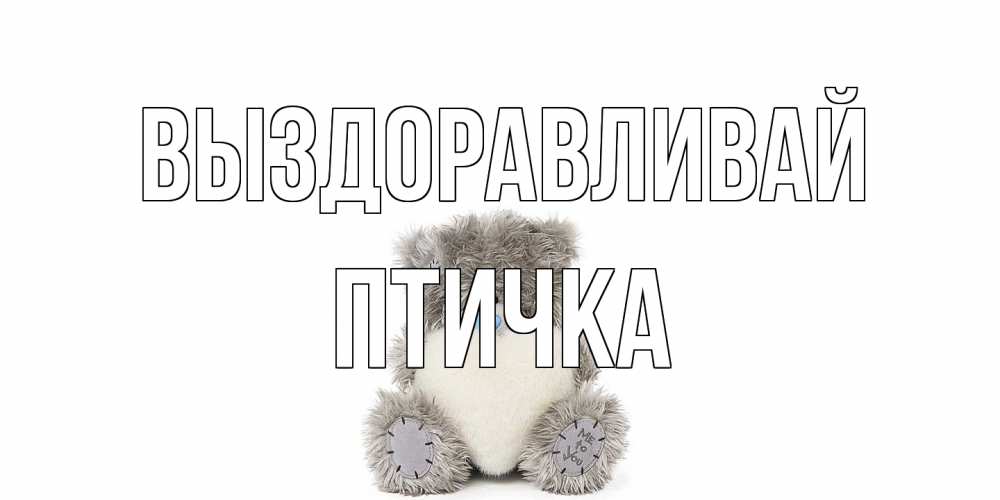Открытка на каждый день с именем, Птичка Выздоравливай не болейте и выздоравливайте быстрее Прикольная открытка с пожеланием онлайн скачать бесплатно 