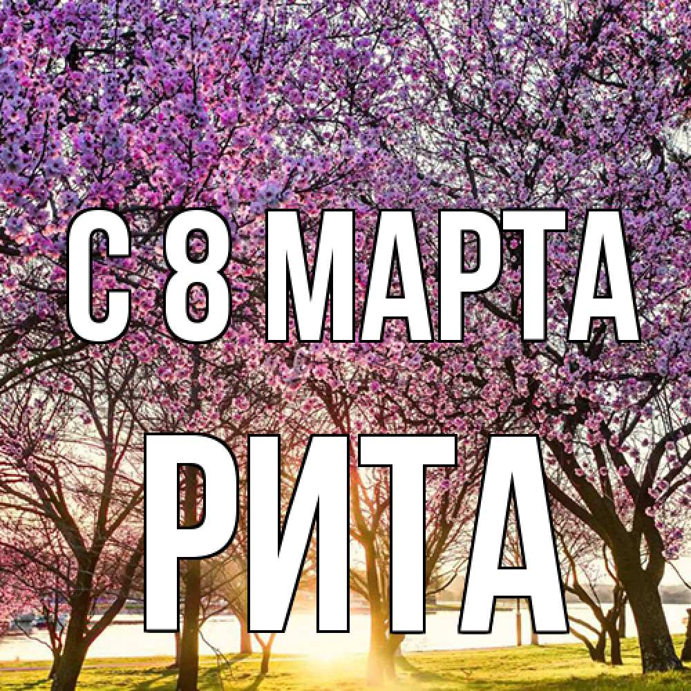 Открытка на каждый день с именем, Рита C 8 МАРТА международный женский день Прикольная открытка с пожеланием онлайн скачать бесплатно 