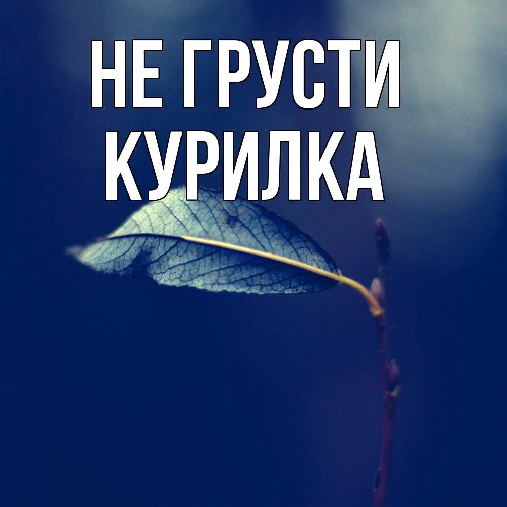 Открытка на каждый день с именем, Курилка Не грусти растение Прикольная открытка с пожеланием онлайн скачать бесплатно 