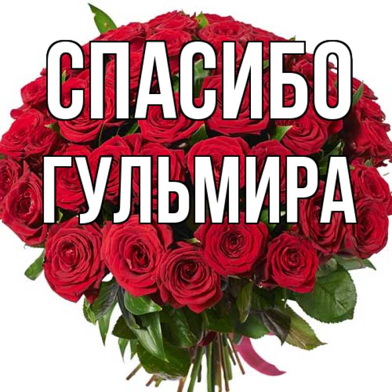 Картинка Спасибо, Гульмира