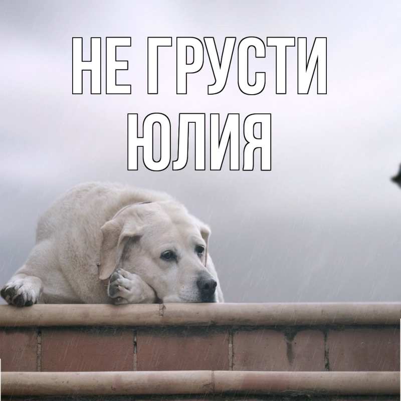 Картинка Не грусти, Юлия