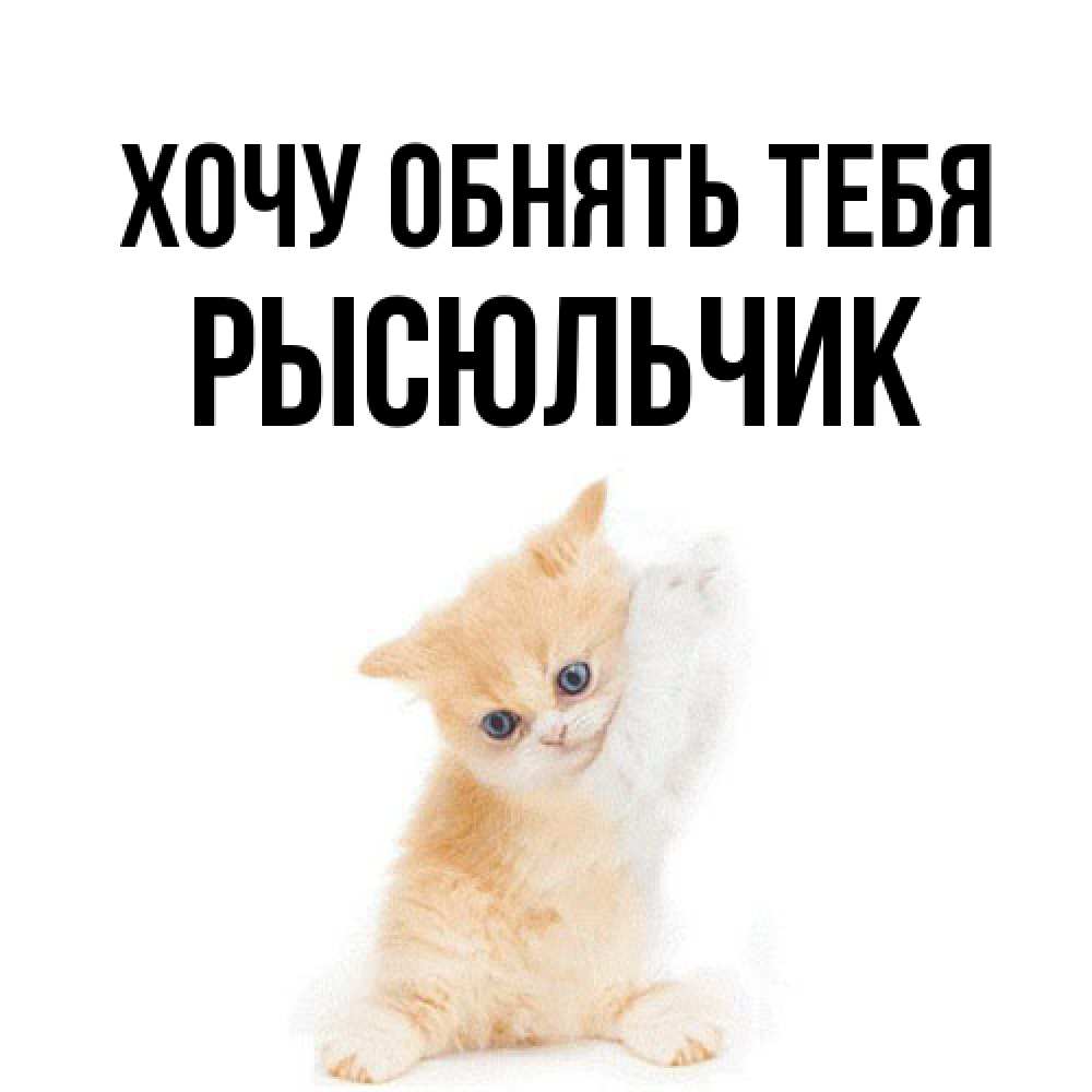 Открытка на каждый день с именем, Рысюльчик Хочу обнять тебя я хочу очень скорее обнимаешек Прикольная открытка с пожеланием онлайн скачать бесплатно 