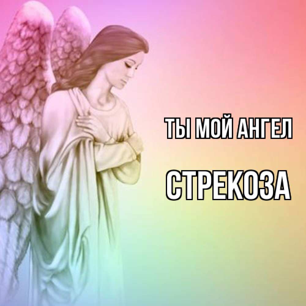 Открытка на каждый день с именем, Стрекоза Ты мой ангел Открытка с ангелом со сложенными крыльями Прикольная открытка с пожеланием онлайн скачать бесплатно 