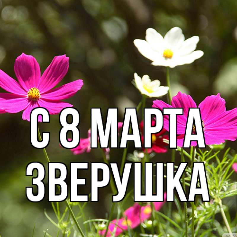Картинка C 8 МАРТА, Зверушка