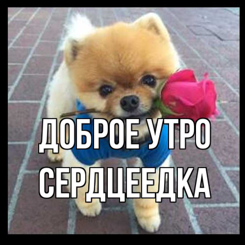 Картинка Доброе утро, сердцеедка