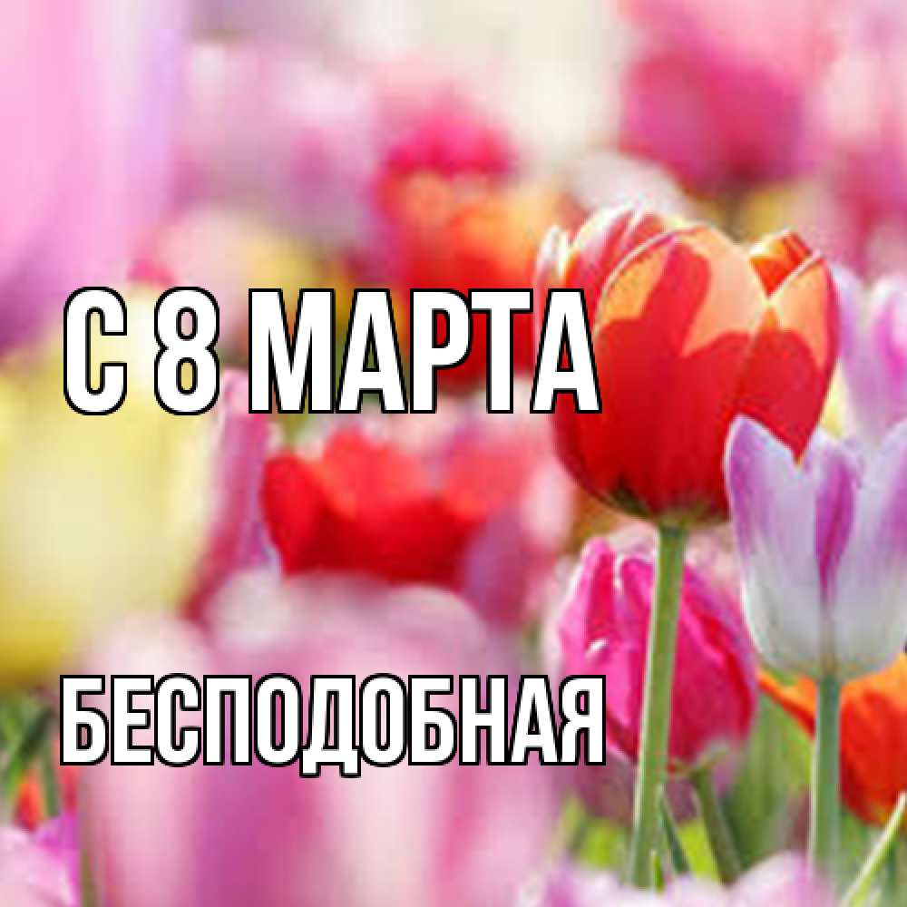 Открытка на каждый день с именем, бесподобная C 8 МАРТА на международный женский день 2 Прикольная открытка с пожеланием онлайн скачать бесплатно 