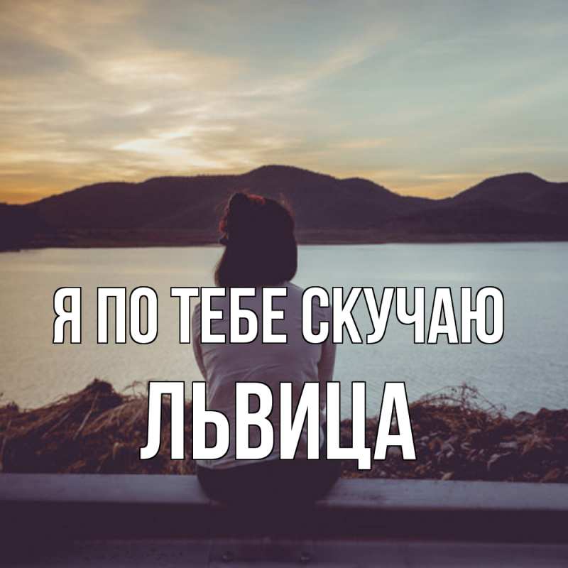 Картинка Я по тебе скучаю, Львица