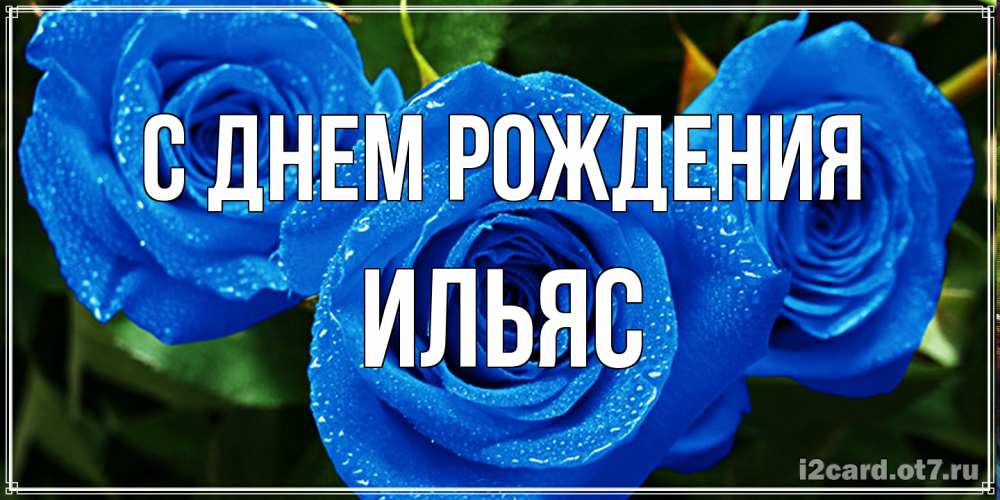 Открытка на каждый день с именем, Ильяс С днем рождения розы с синим цветом Прикольная открытка с пожеланием онлайн скачать бесплатно 