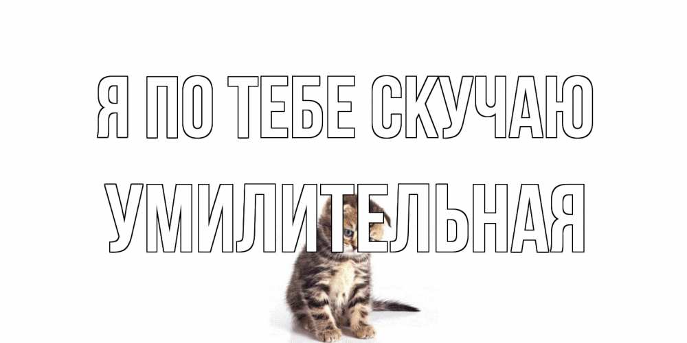 Открытка на каждый день с именем, умилительная Я по тебе скучаю кот Прикольная открытка с пожеланием онлайн скачать бесплатно 