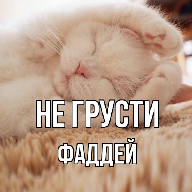 Картинка Не грусти, Фаддей