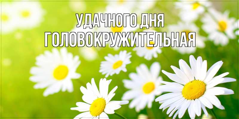 Картинка Удачного дня, Головокружительная
