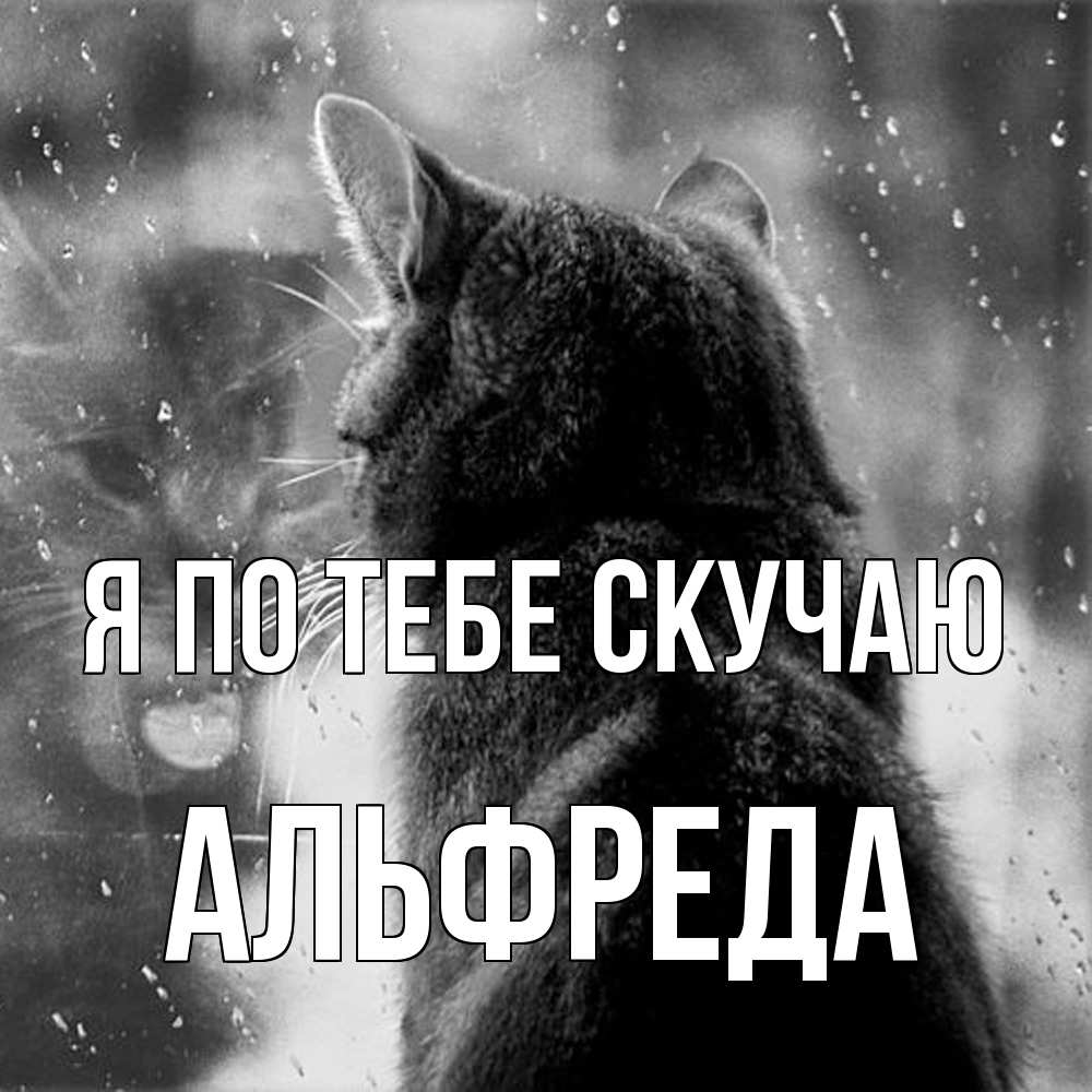 Открытка на каждый день с именем, Альфреда Я по тебе скучаю скорее ко мне приходи 1 Прикольная открытка с пожеланием онлайн скачать бесплатно 