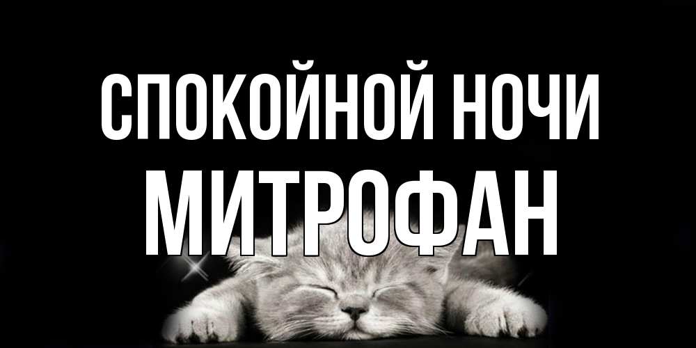 Открытка на каждый день с именем, Митрофан Спокойной ночи спящий котик Прикольная открытка с пожеланием онлайн скачать бесплатно 