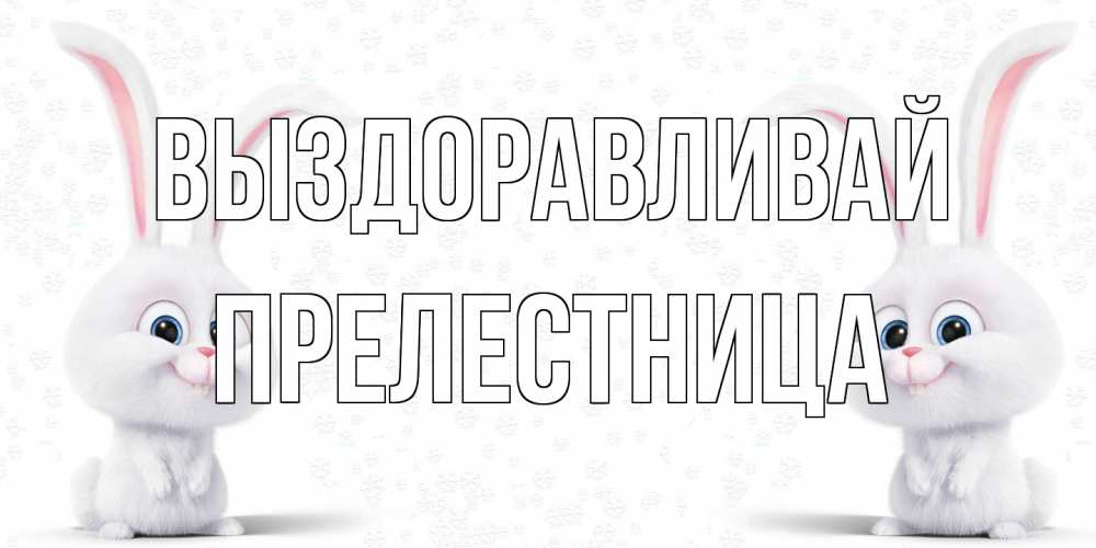 Открытка на каждый день с именем, Прелестница Выздоравливай не болей с зайцем Прикольная открытка с пожеланием онлайн скачать бесплатно 