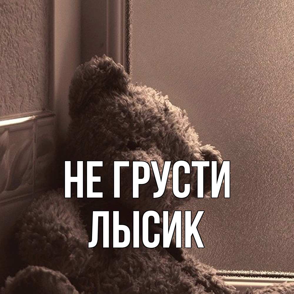Открытка на каждый день с именем, Лысик Не грусти стекол рефленое Прикольная открытка с пожеланием онлайн скачать бесплатно 
