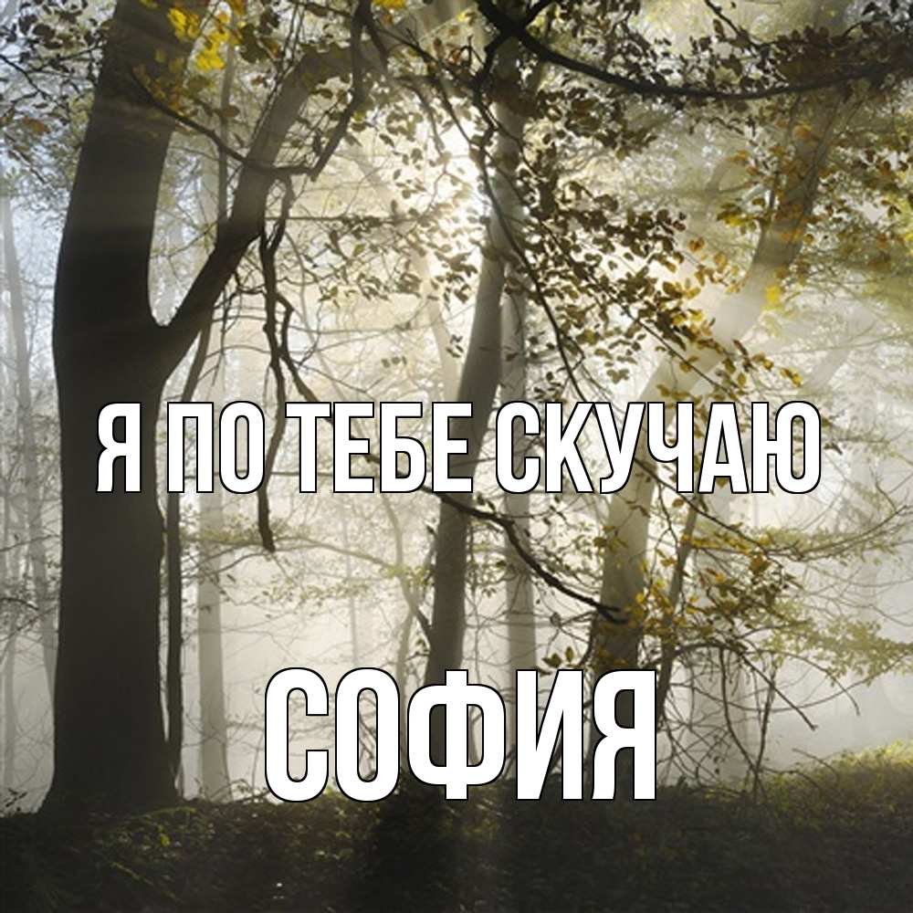 Открытка на каждый день с именем, София Я по тебе скучаю грустно Прикольная открытка с пожеланием онлайн скачать бесплатно 