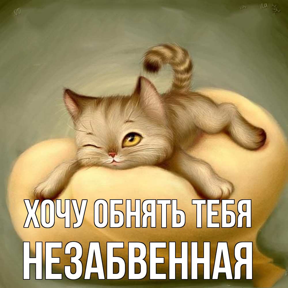 Открытка на каждый день с именем, незабвенная Хочу обнять тебя кошечка Прикольная открытка с пожеланием онлайн скачать бесплатно 