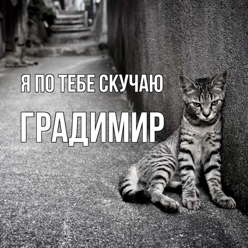 Картинка Я по тебе скучаю, Градимир