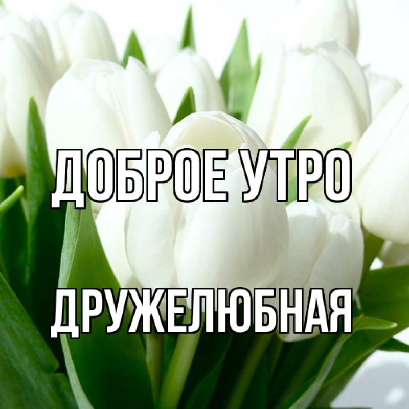 Картинка Доброе утро, Дружелюбная