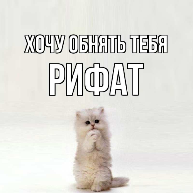 Картинка Хочу обнять тебя, Рифат