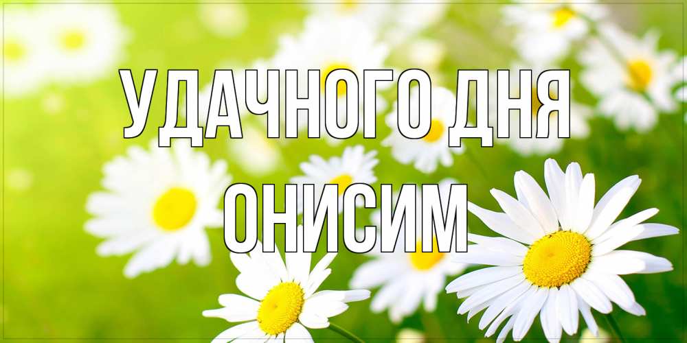 Открытка на каждый день с именем, Онисим Удачного дня открытка с ромашками на зеленом фоне Прикольная открытка с пожеланием онлайн скачать бесплатно 