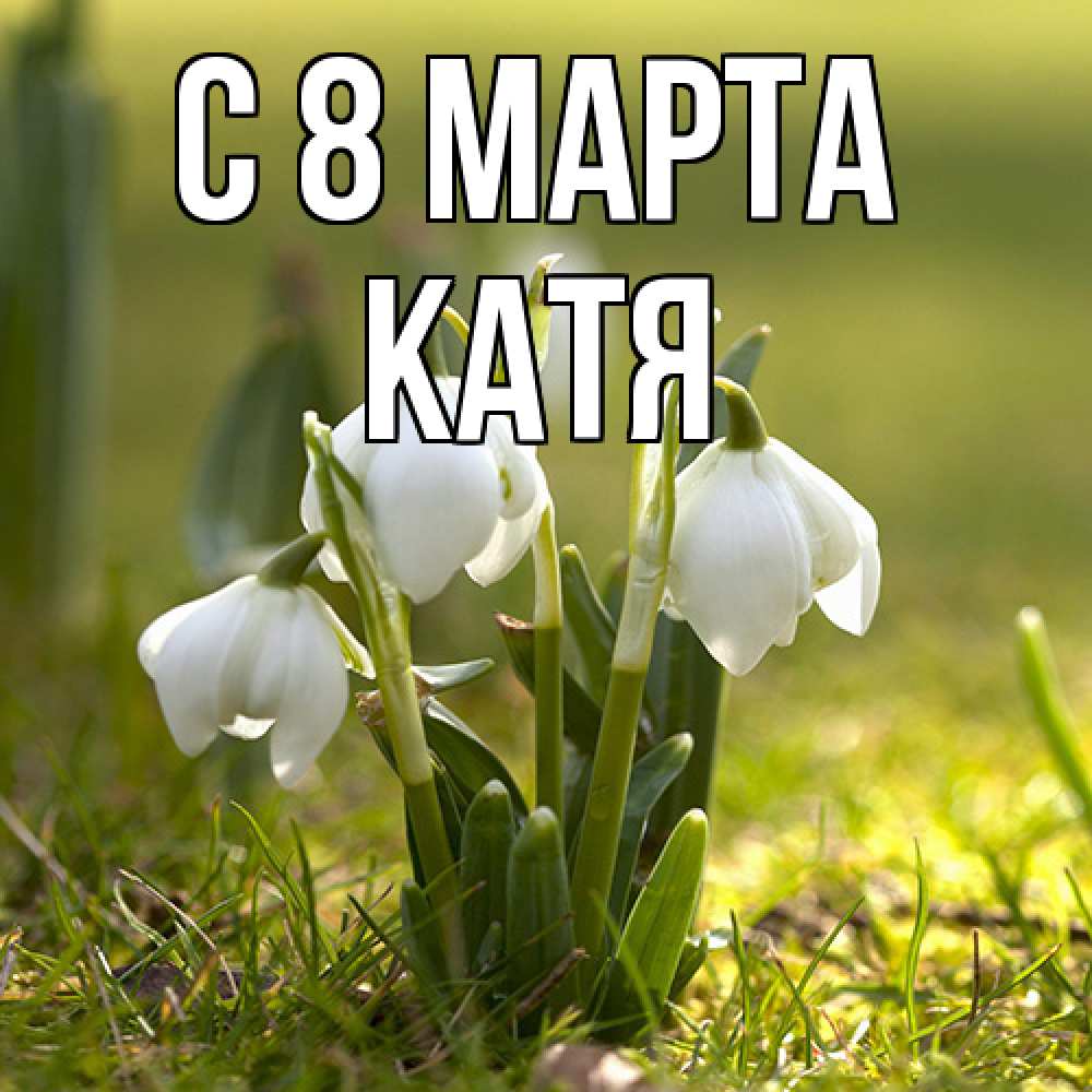 Открытка на каждый день с именем, Катя C 8 МАРТА ранние цветы 2 Прикольная открытка с пожеланием онлайн скачать бесплатно 