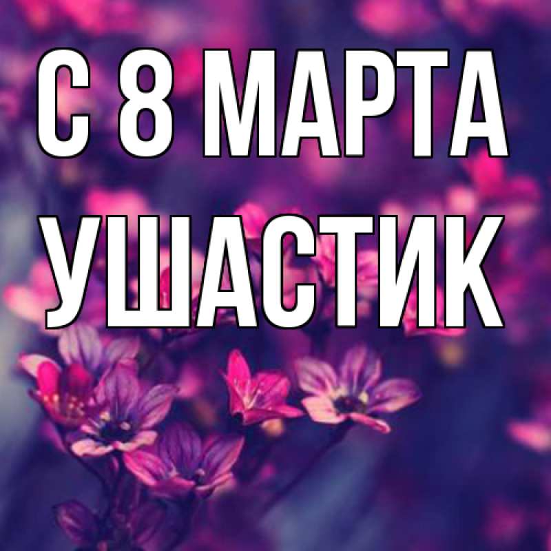 Картинка C 8 МАРТА, Ушастик