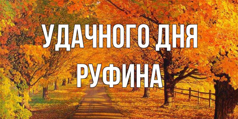 Открытка на каждый день с именем, Руфина Удачного дня деревья с осенними листьями Прикольная открытка с пожеланием онлайн скачать бесплатно 
