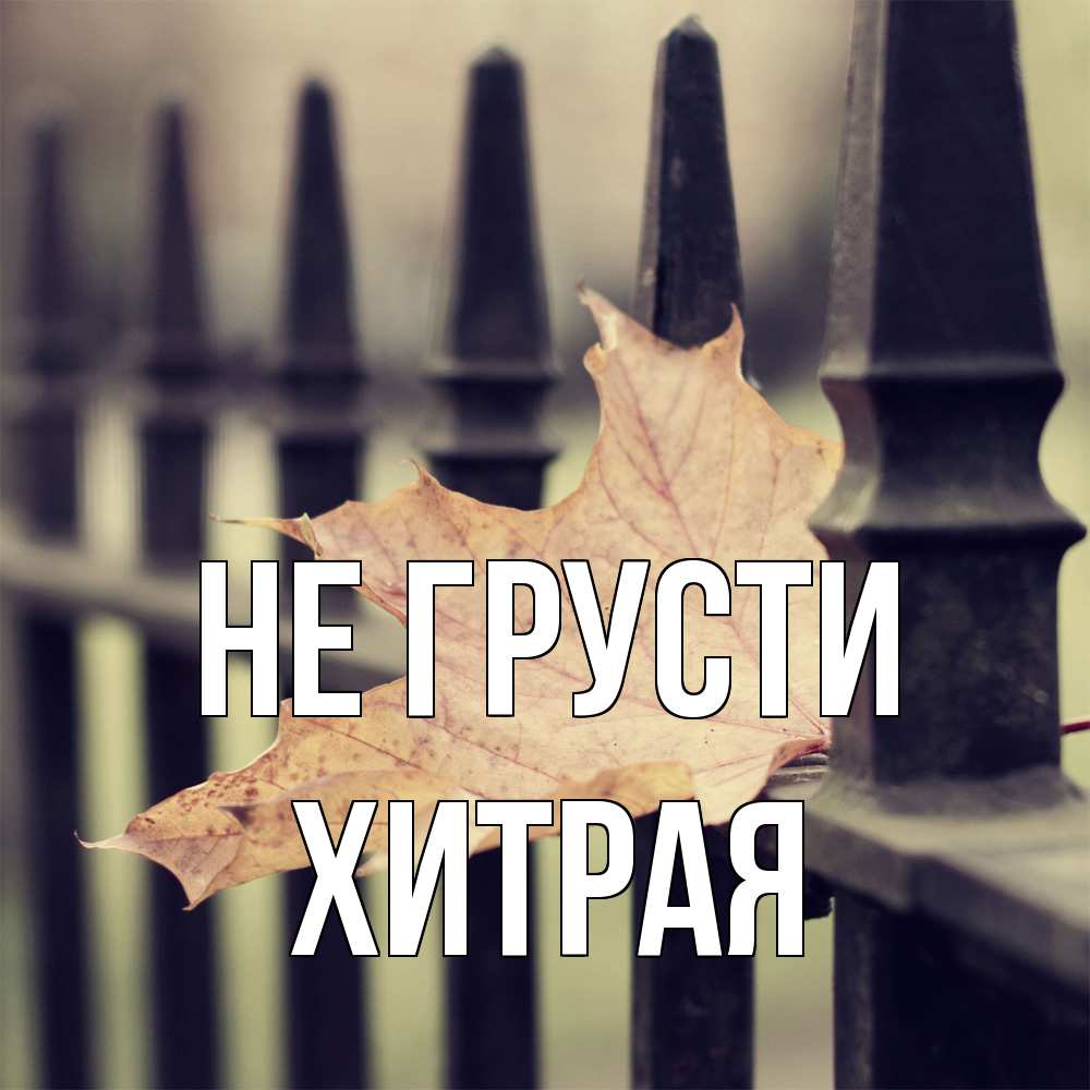 Открытка на каждый день с именем, хитрая Не грусти лист клена Прикольная открытка с пожеланием онлайн скачать бесплатно 